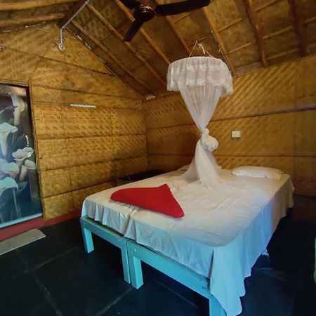 Hampi Nature Cottage 外观 照片