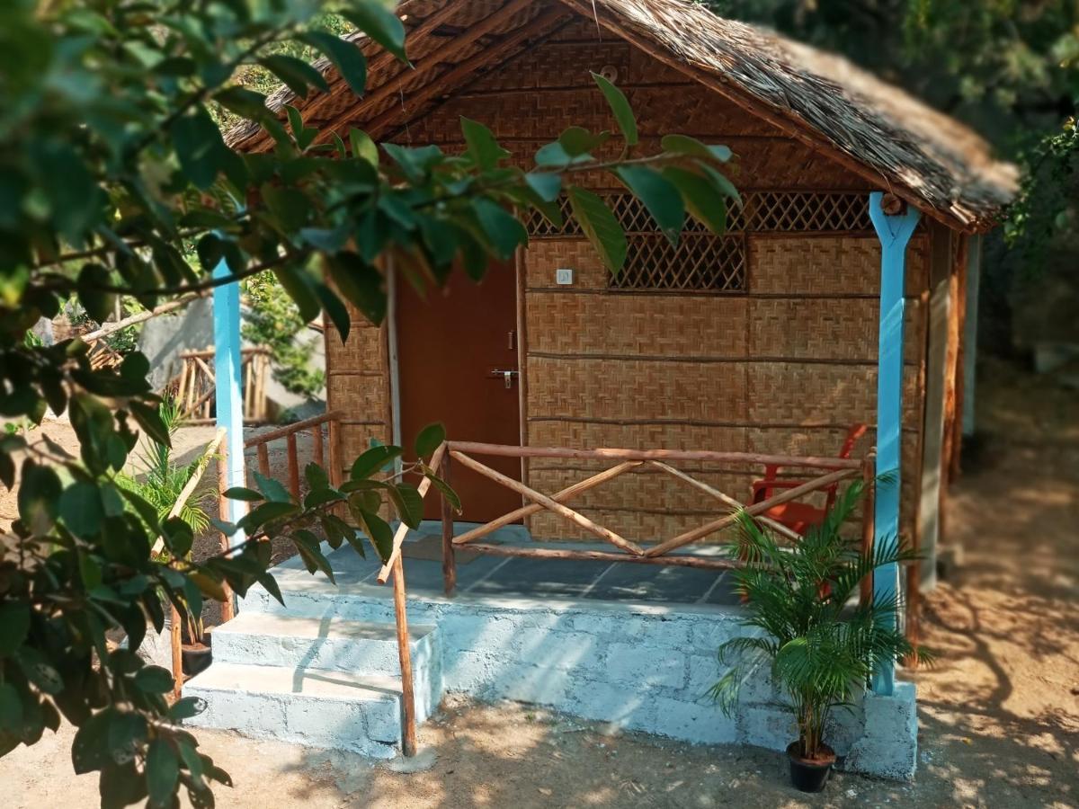Hampi Nature Cottage 外观 照片