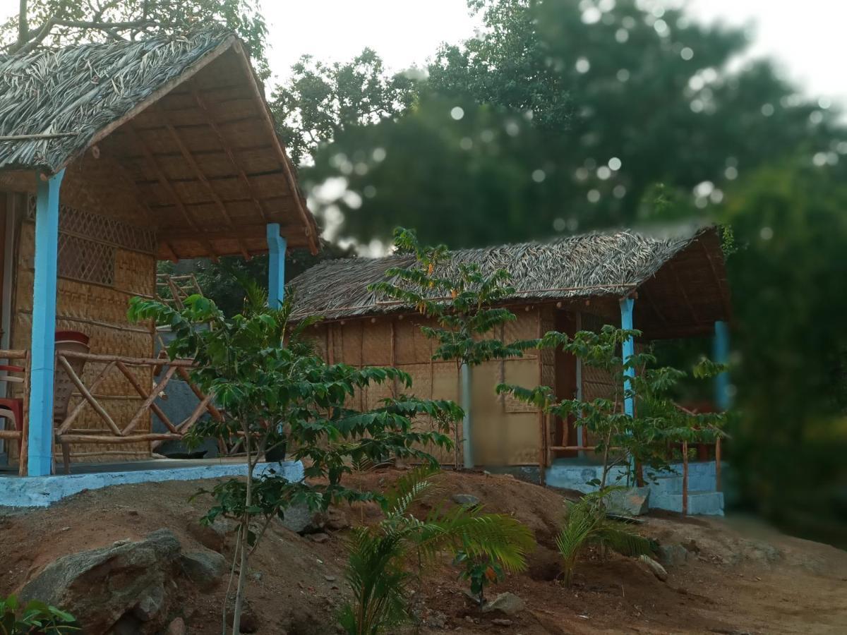 Hampi Nature Cottage 外观 照片